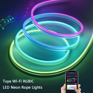 Smart Wi-Fi LED Neon Lights